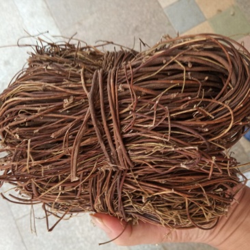 广西鸡骨草，小扎把，切段都有，一斤十把左右，新鲜干净干货