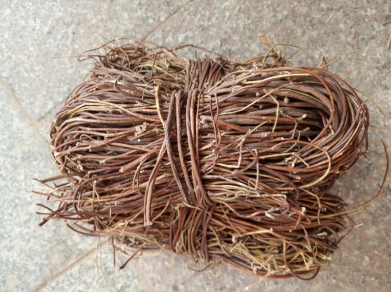 广西鸡骨草，小扎把，切段都有，一斤十把左右，新鲜干净干货