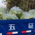 万亩西瓜辣椒种植基地，欢迎新老客户合作共赢！