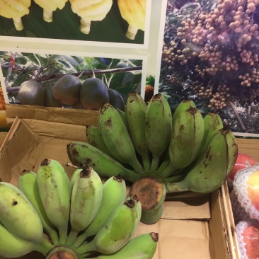 西贡蕉