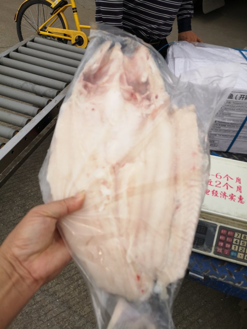 巴沙鱼