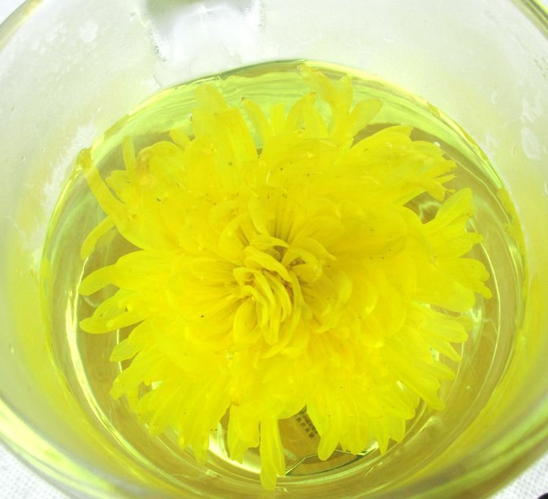 包邮金丝皇菊优质花朵花茶无硫超值装100朵