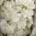 雪燕拉丝前几年四五百一公斤现在低价抛售胶原蛋白