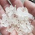 雪燕拉丝前几年四五百一公斤现在低价抛售胶原蛋白