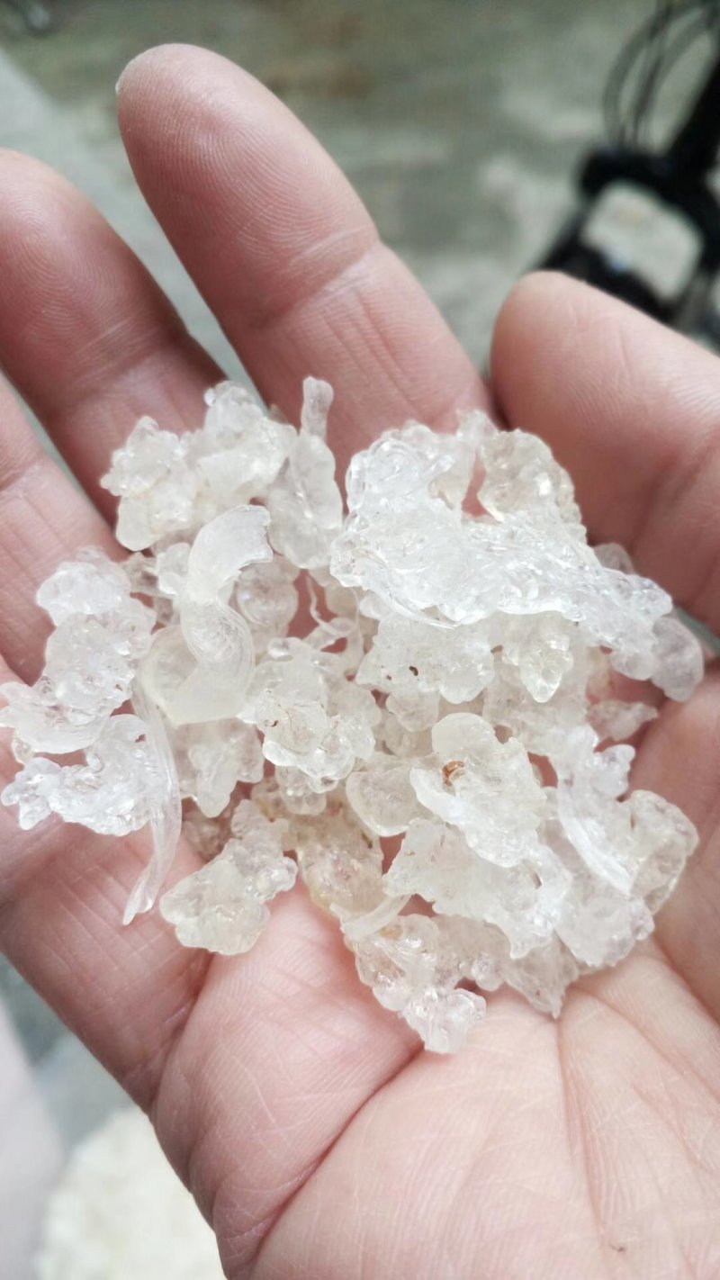 雪燕拉丝前几年四五百一公斤现在低价抛售胶原蛋白