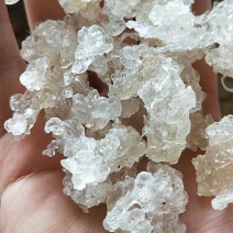 雪燕拉丝前几年四五百一公斤现在低价抛售胶原蛋白
