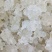 雪燕拉丝前几年四五百一公斤现在低价抛售胶原蛋白