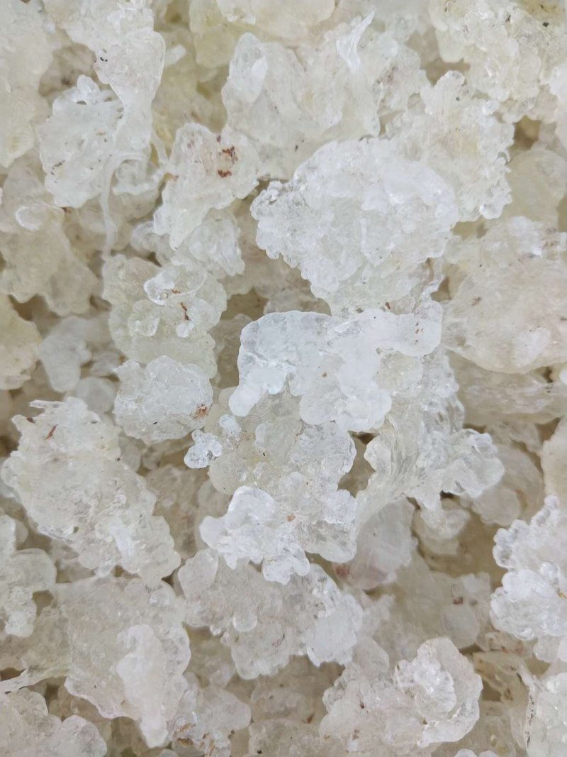 雪燕拉丝前几年四五百一公斤现在低价抛售胶原蛋白