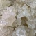 雪燕拉丝前几年四五百一公斤现在低价抛售胶原蛋白