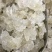 雪燕拉丝前几年四五百一公斤现在低价抛售胶原蛋白