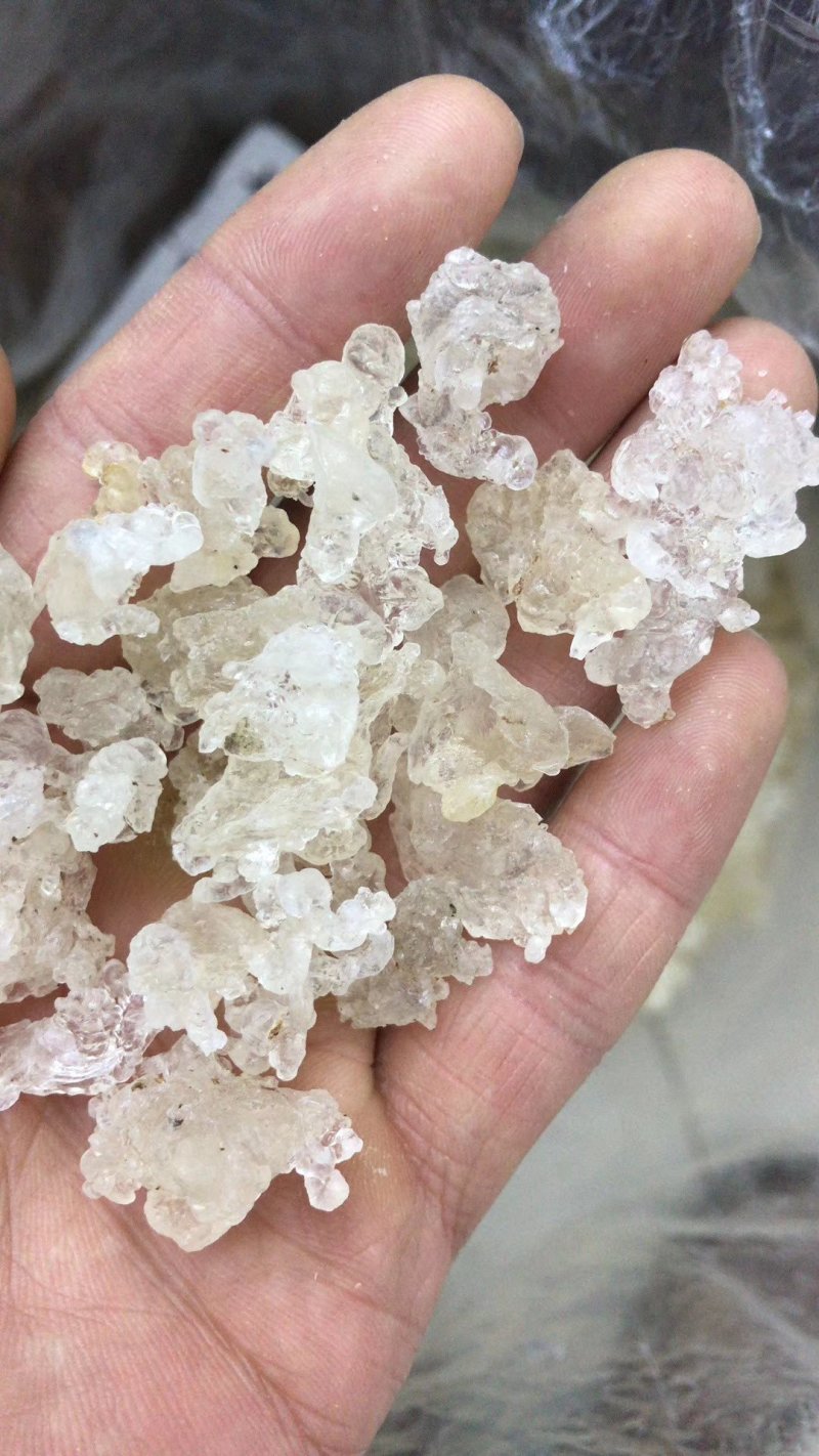 雪燕拉丝前几年四五百一公斤现在低价抛售胶原蛋白