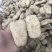 天麻昭通小草坝彝良天麻酰胺含量高不硫熏拒绝外省麻