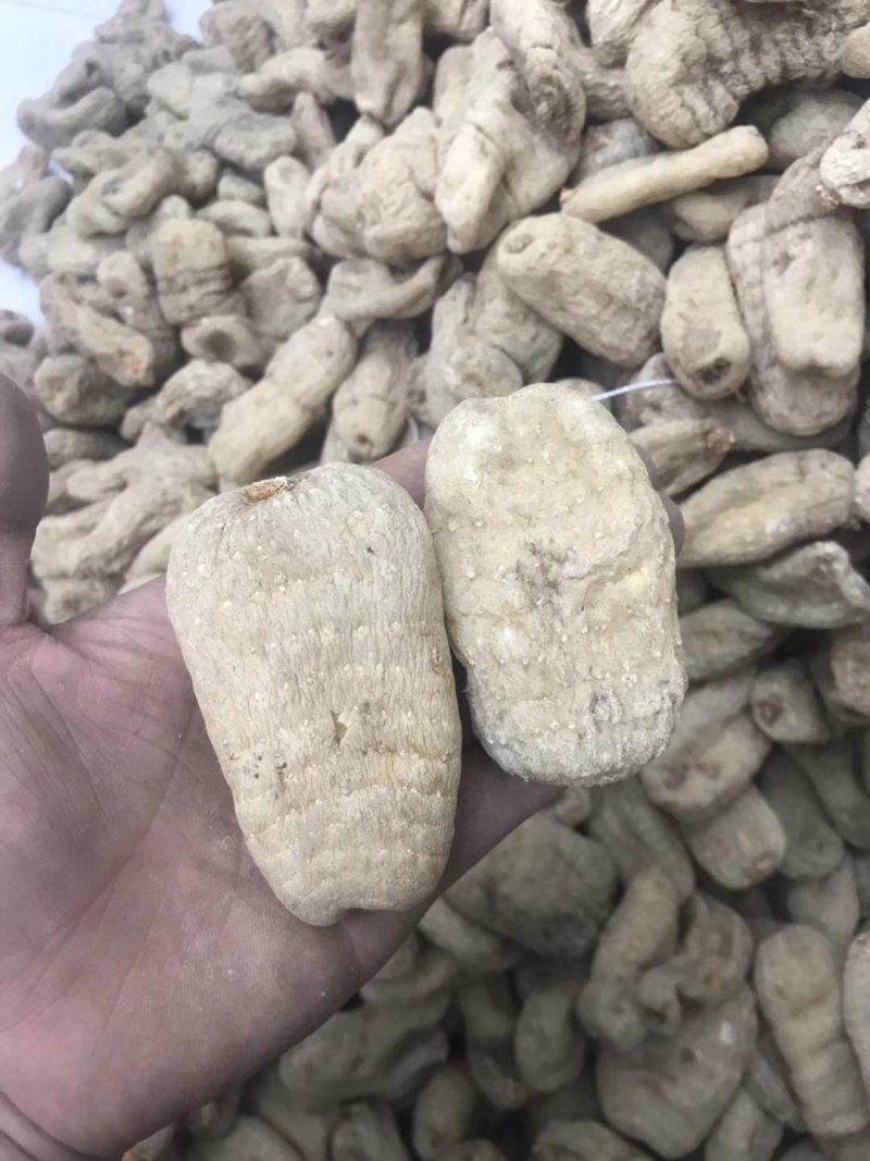 天麻昭通小草坝彝良天麻酰胺含量高不硫熏拒绝外省麻