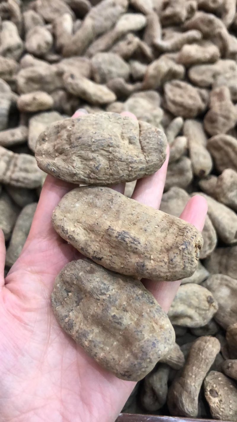 天麻昭通小草坝彝良天麻酰胺含量高不硫熏拒绝外省麻