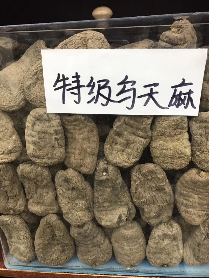 天麻昭通小草坝彝良天麻酰胺含量高不硫熏拒绝外省麻