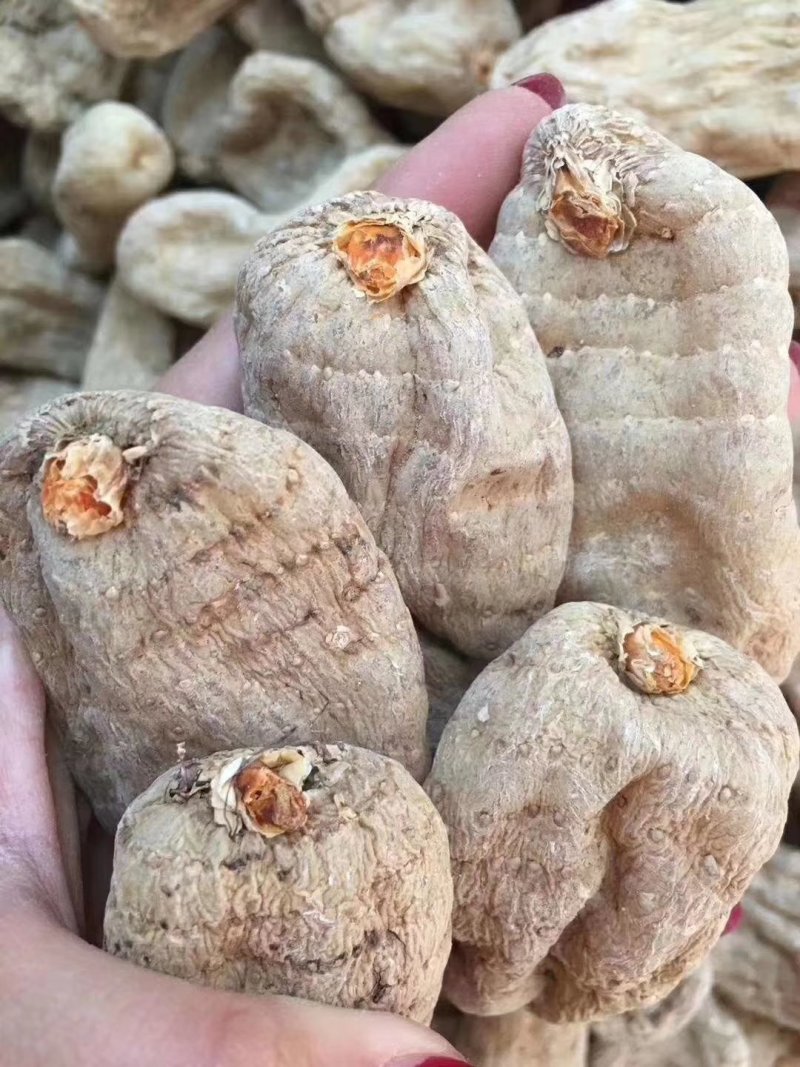 天麻昭通小草坝彝良天麻酰胺含量高不硫熏拒绝外省麻