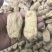 天麻昭通小草坝彝良天麻酰胺含量高不硫熏拒绝外省麻
