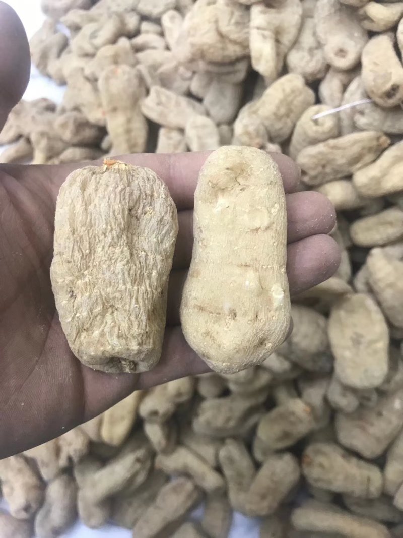 天麻昭通小草坝彝良天麻酰胺含量高不硫熏拒绝外省麻