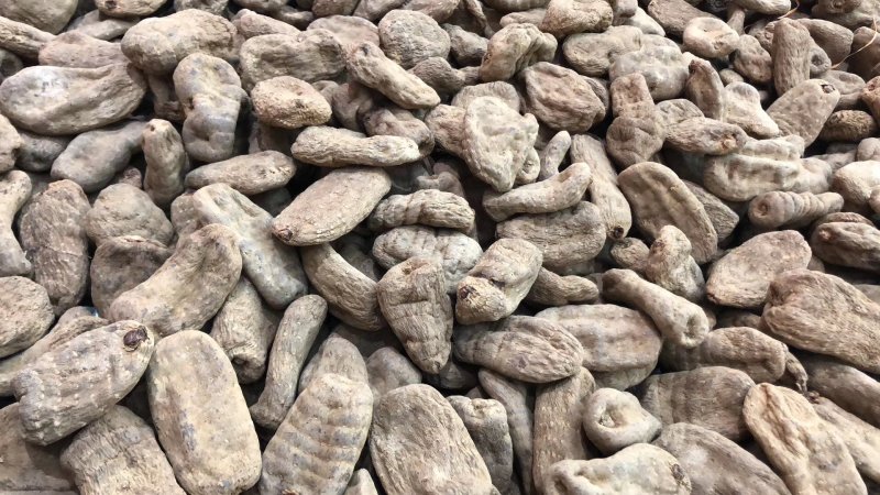 天麻昭通小草坝彝良天麻酰胺含量高不硫熏拒绝外省麻