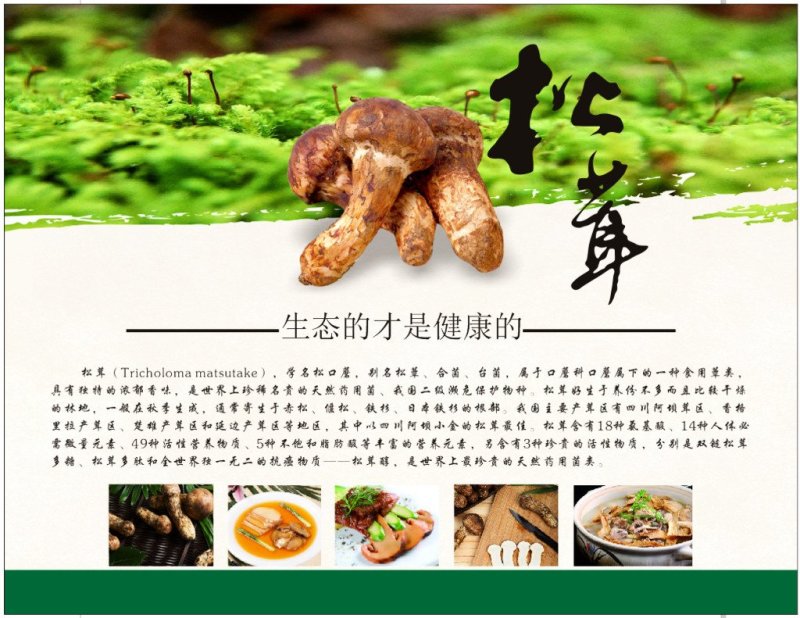 香格里拉松茸干片。不同品质不同单价。产地一手货源批发