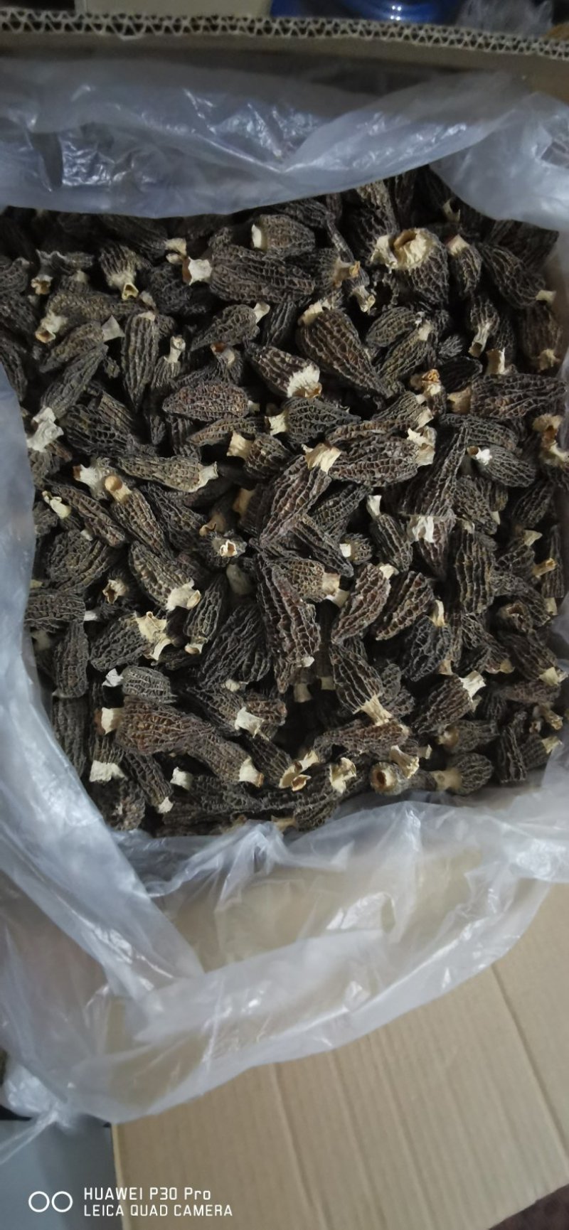高品质羊肚菌。无烂发霉精选。肉厚味香头茬货