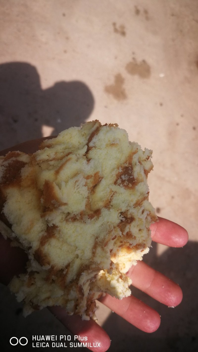 豆粕