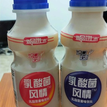 乳酸菌