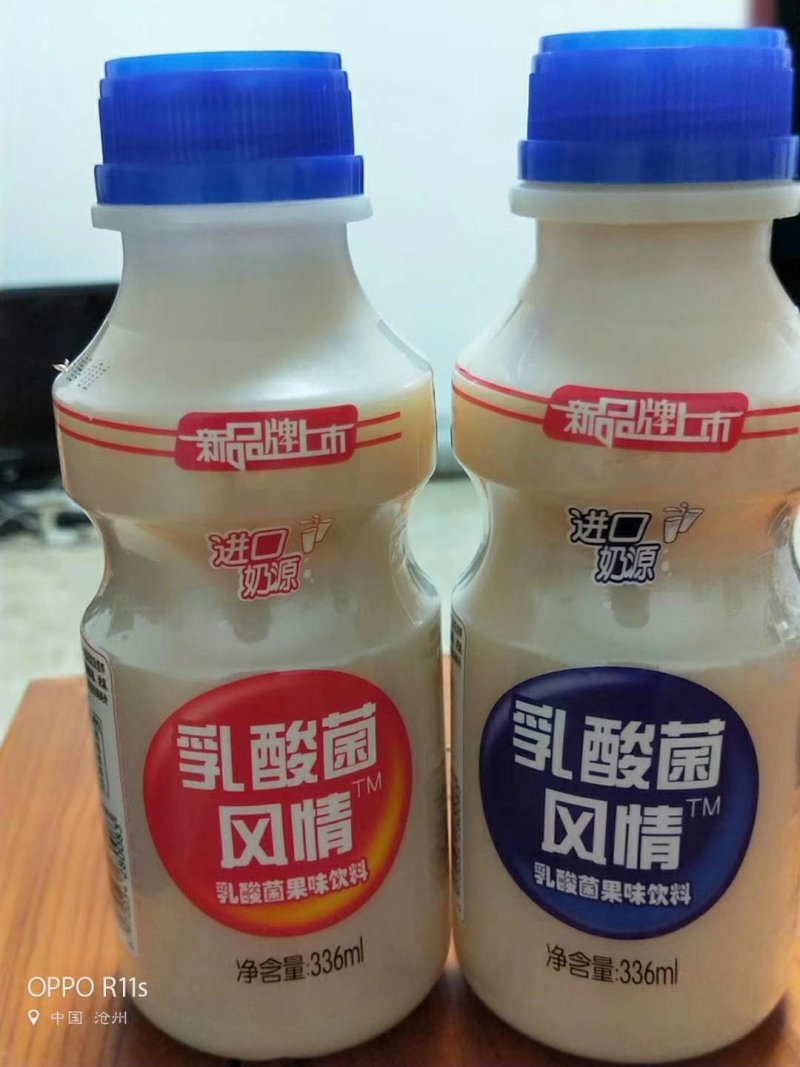 乳酸菌