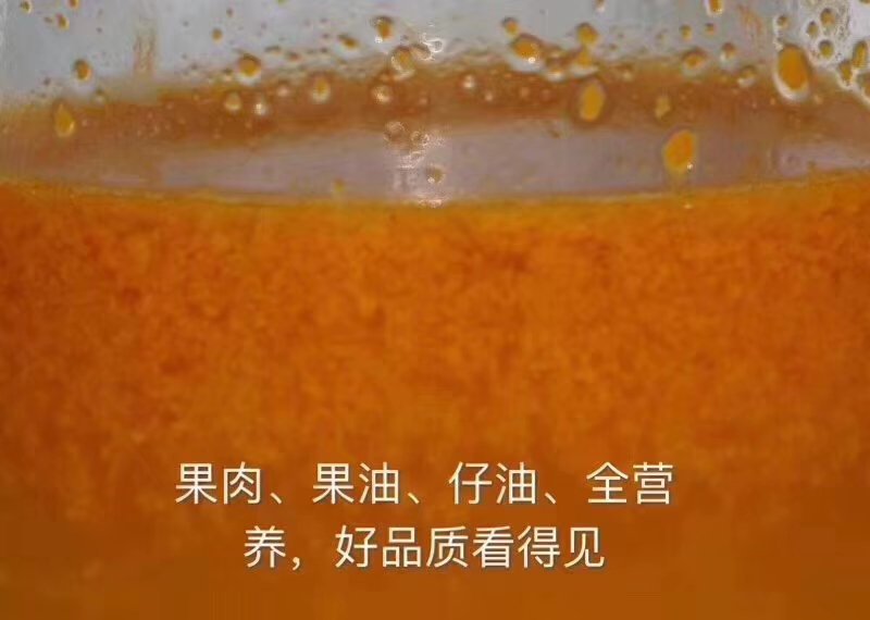 野生沙棘【特级】阿克苏乌什县野生沙棘