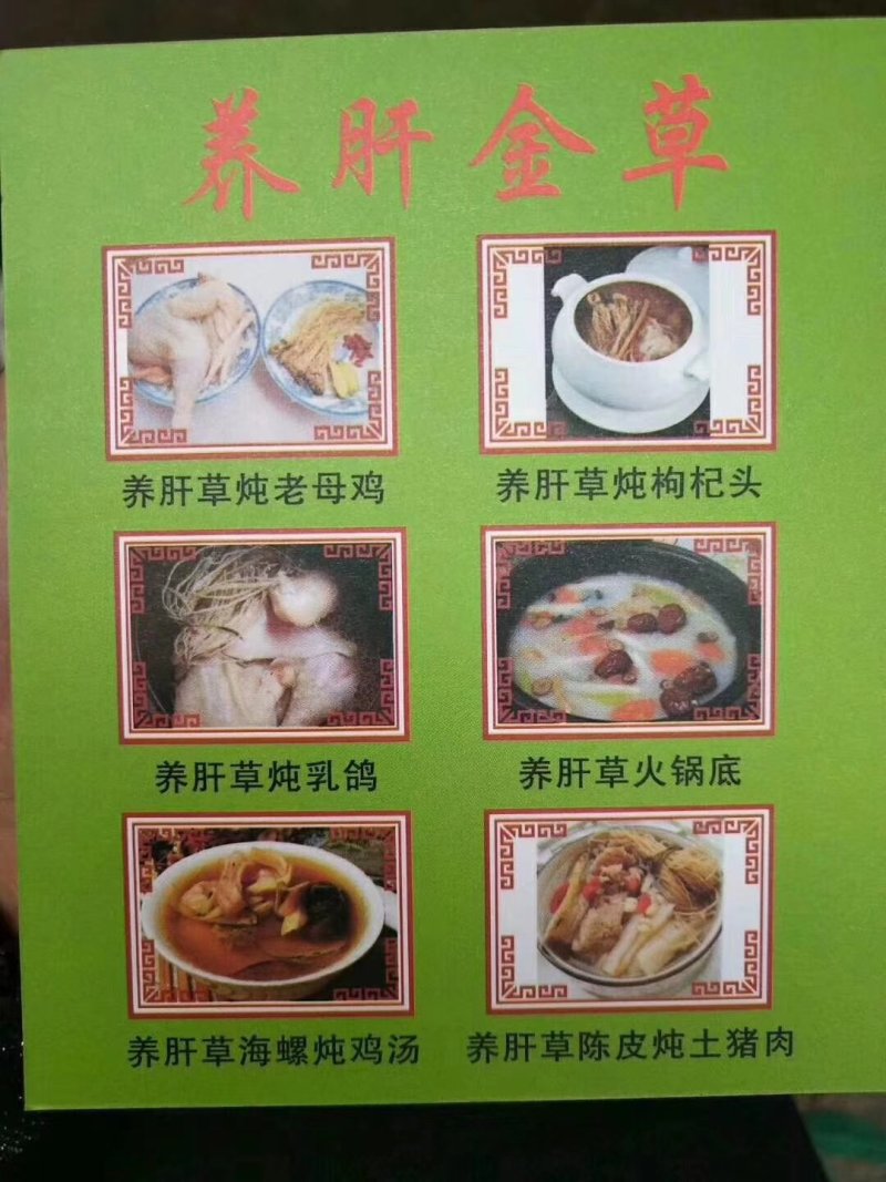 养肝草丝线根产地直销一手货源50扎起包邮粤北煲汤料