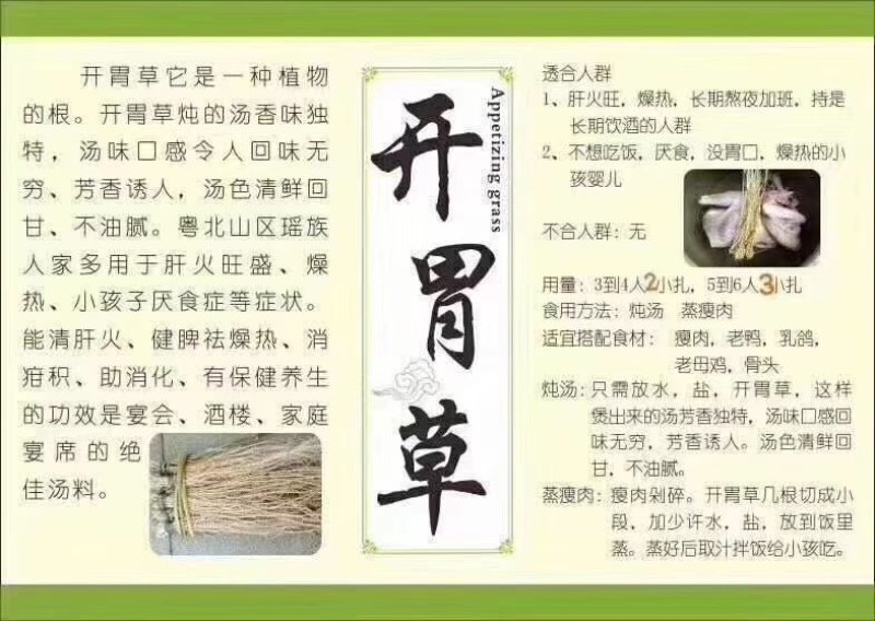 养肝草丝线根产地直销一手货源50扎起包邮粤北煲汤料