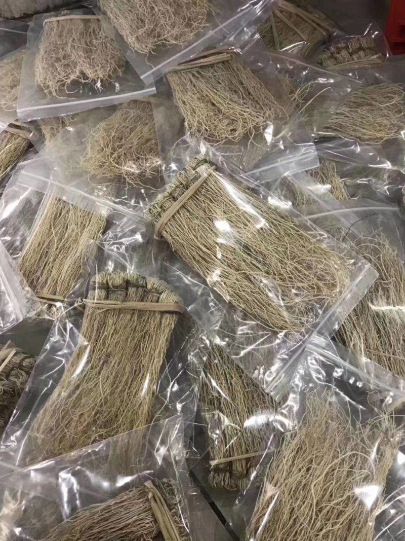 养肝草丝线根产地直销一手货源50扎起包邮粤北煲汤料