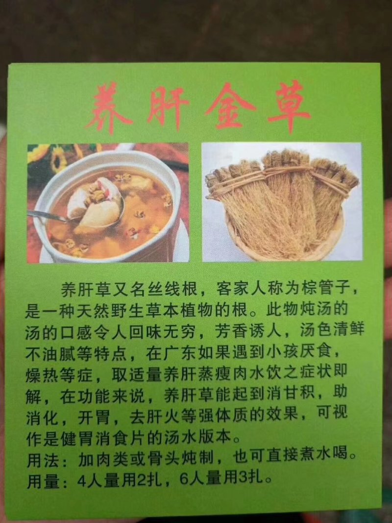 养肝草丝线根产地直销一手货源50扎起包邮粤北煲汤料