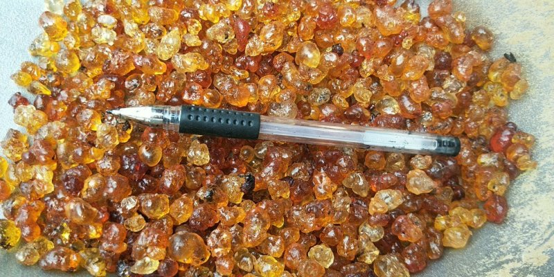 包邮桃胶桃花泪干净无杂质供应上千种中药材