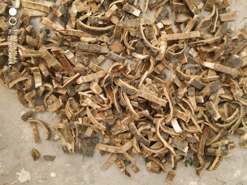 中药藤木类