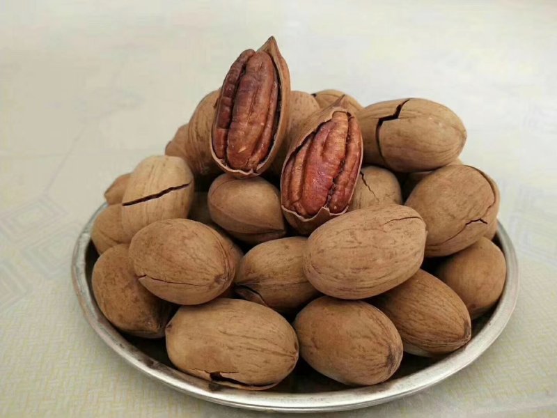 碧根果精品好货