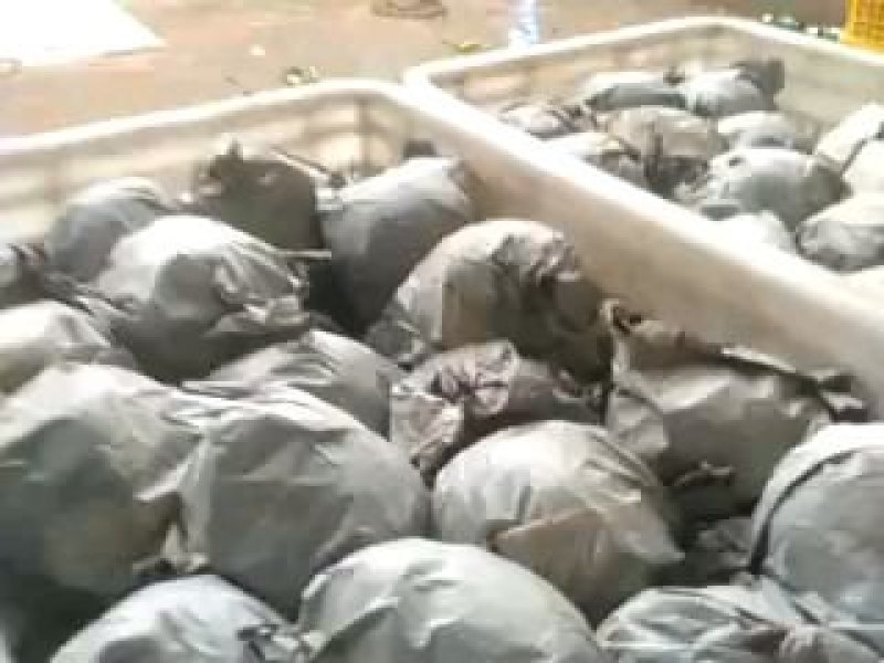 精品丰水梨脆甜化渣产地一手货源随到随装车量大优惠