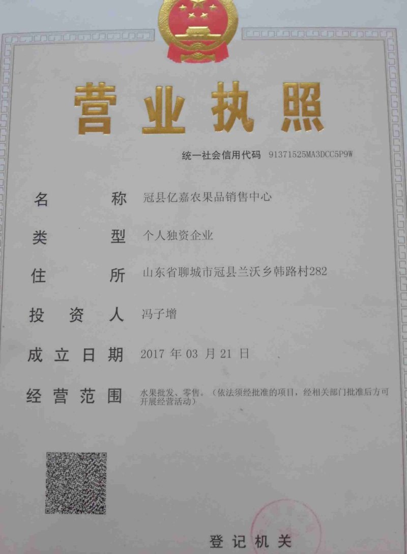 精品丰水梨脆甜化渣产地一手货源随到随装车量大优惠