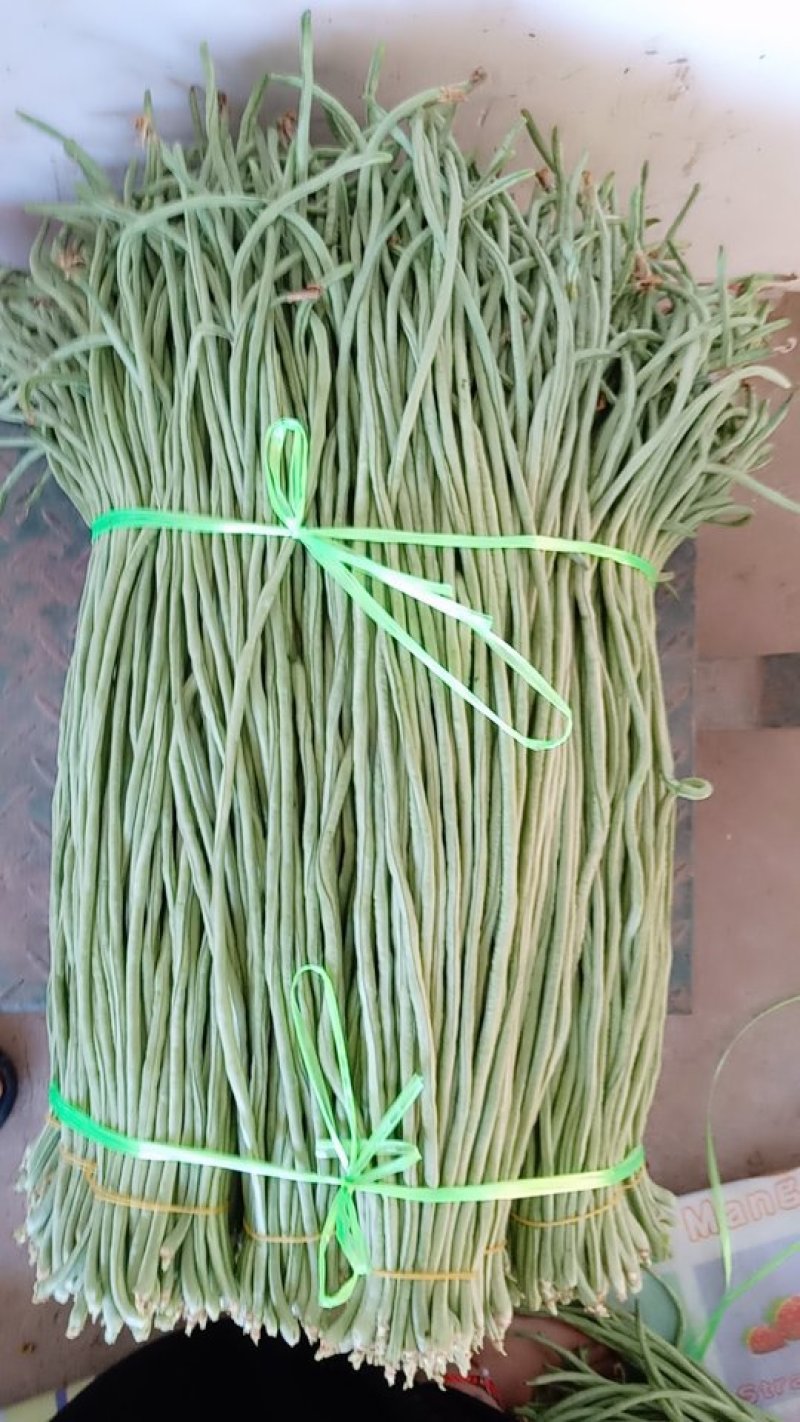 绿长豆角