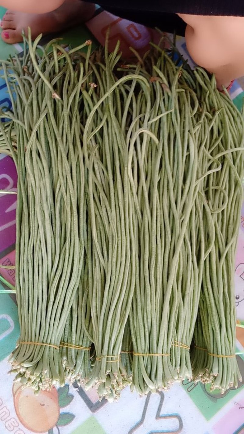 绿长豆角
