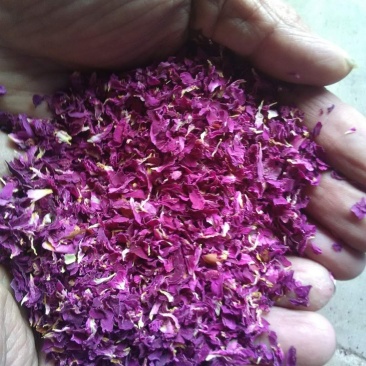玫瑰花茶干山东平阴玫瑰干花瓣小花瓣玫瑰花茶花瓣碎