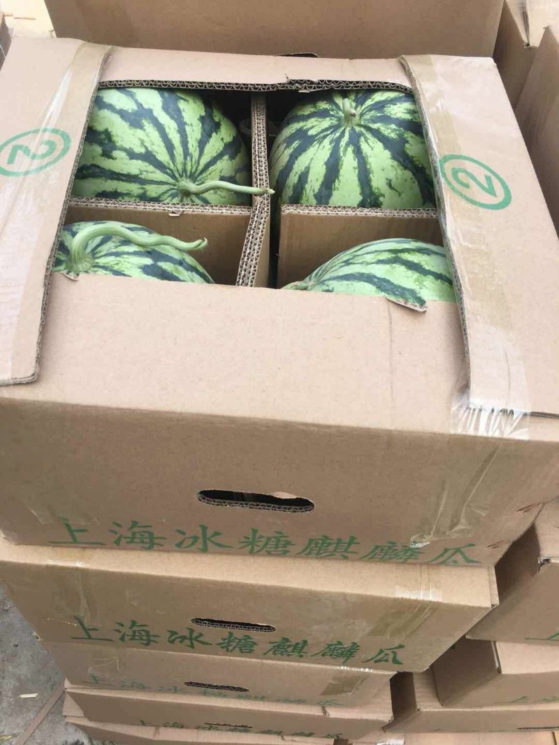 【实力推荐】美都河南大棚无籽寻找，批发商超长期合作伙伴，