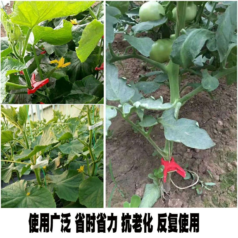 大棚蔬菜夹黄瓜西红柿辣椒绑秧夹绑蔓夹吊秧夹吊蔓夹