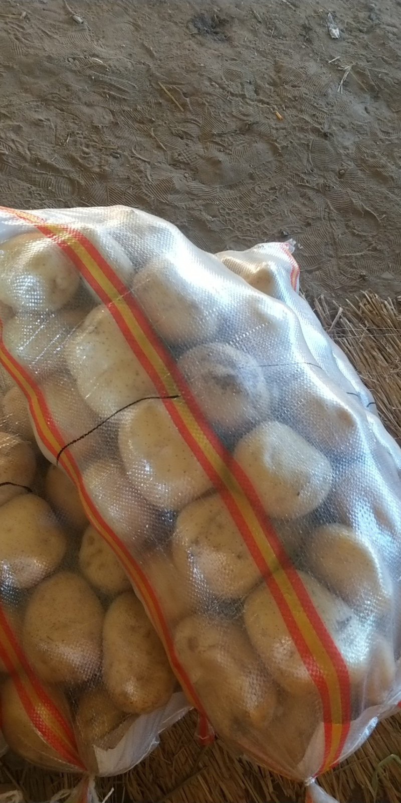 我处地膜土豆大量上市，质量好，品质优，价格美丽