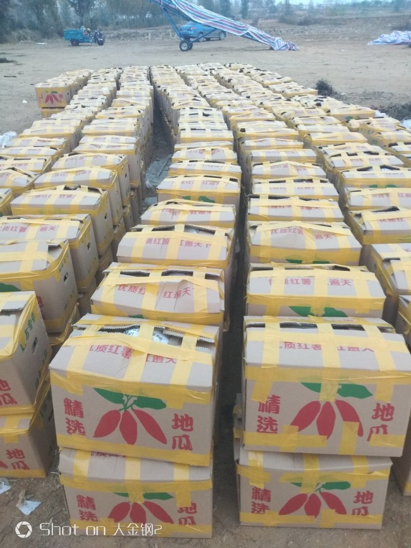 邹城丘陵山地西瓜红薯