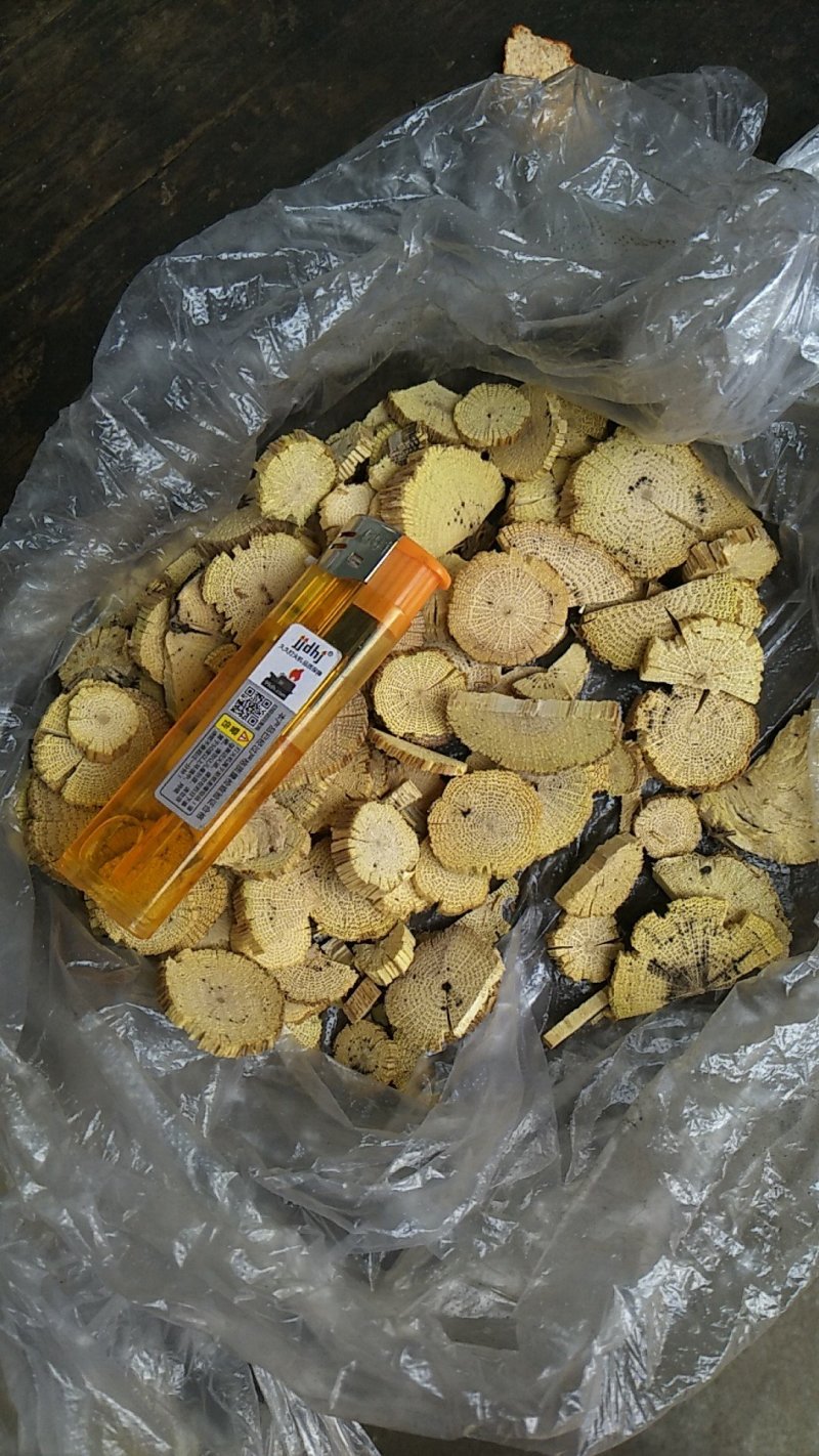 川木通