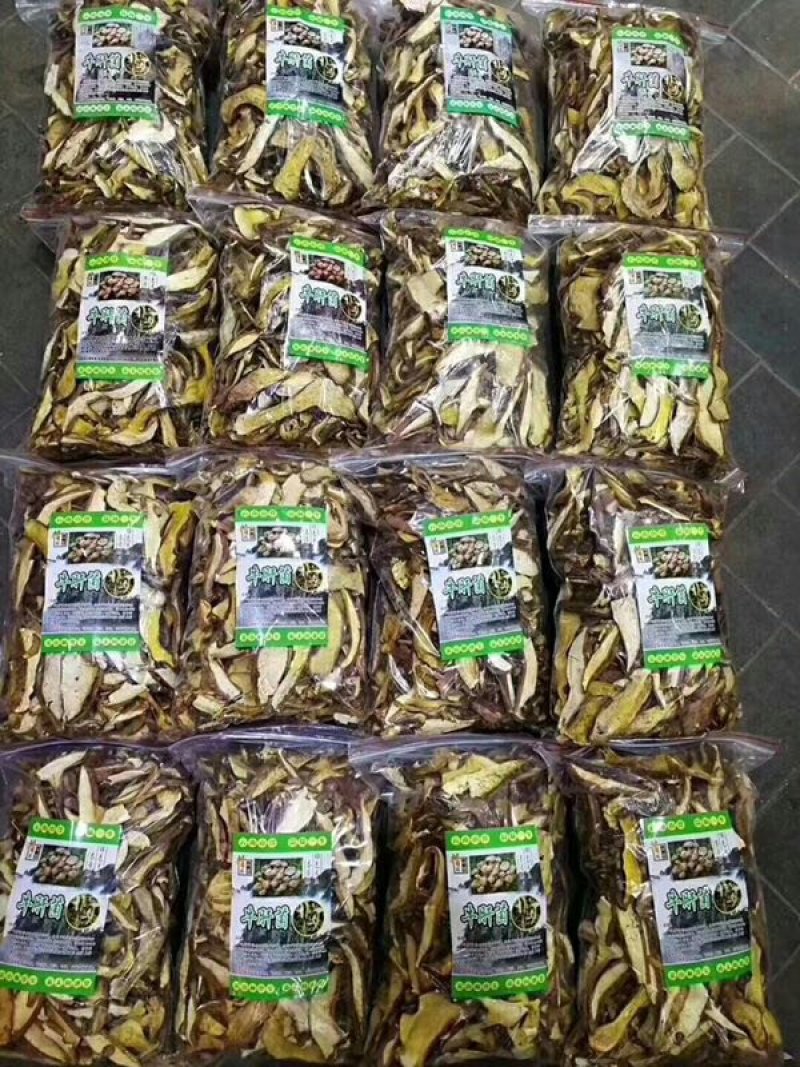 牛肚菌黄牛肝菌10斤包邮