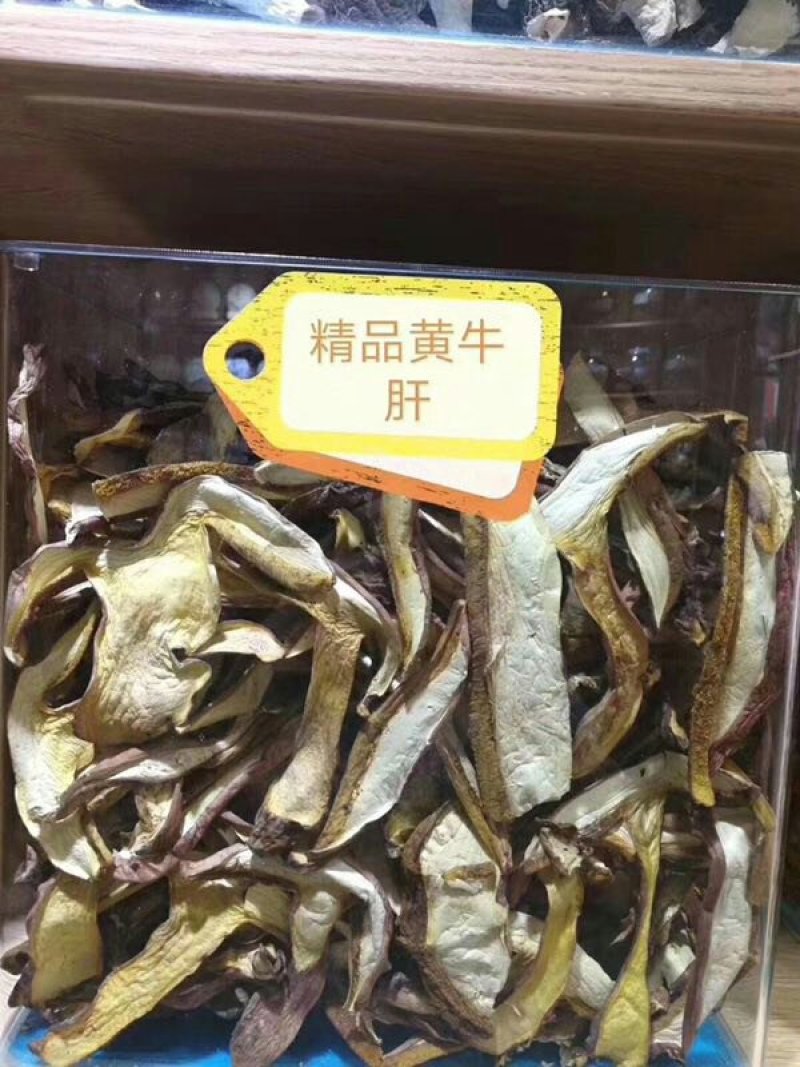 牛肚菌黄牛肝菌10斤包邮