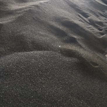 椒目
