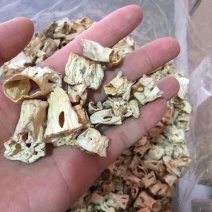 羊肚菌菌柄菌脚菌棒20斤